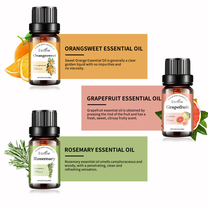 Christmas Essential Oil Kit Top 6 Blends for Diffusers, Home Care, Candle Making Scents, Fragrance, Aromatherapy, Humidifiers, Gifts